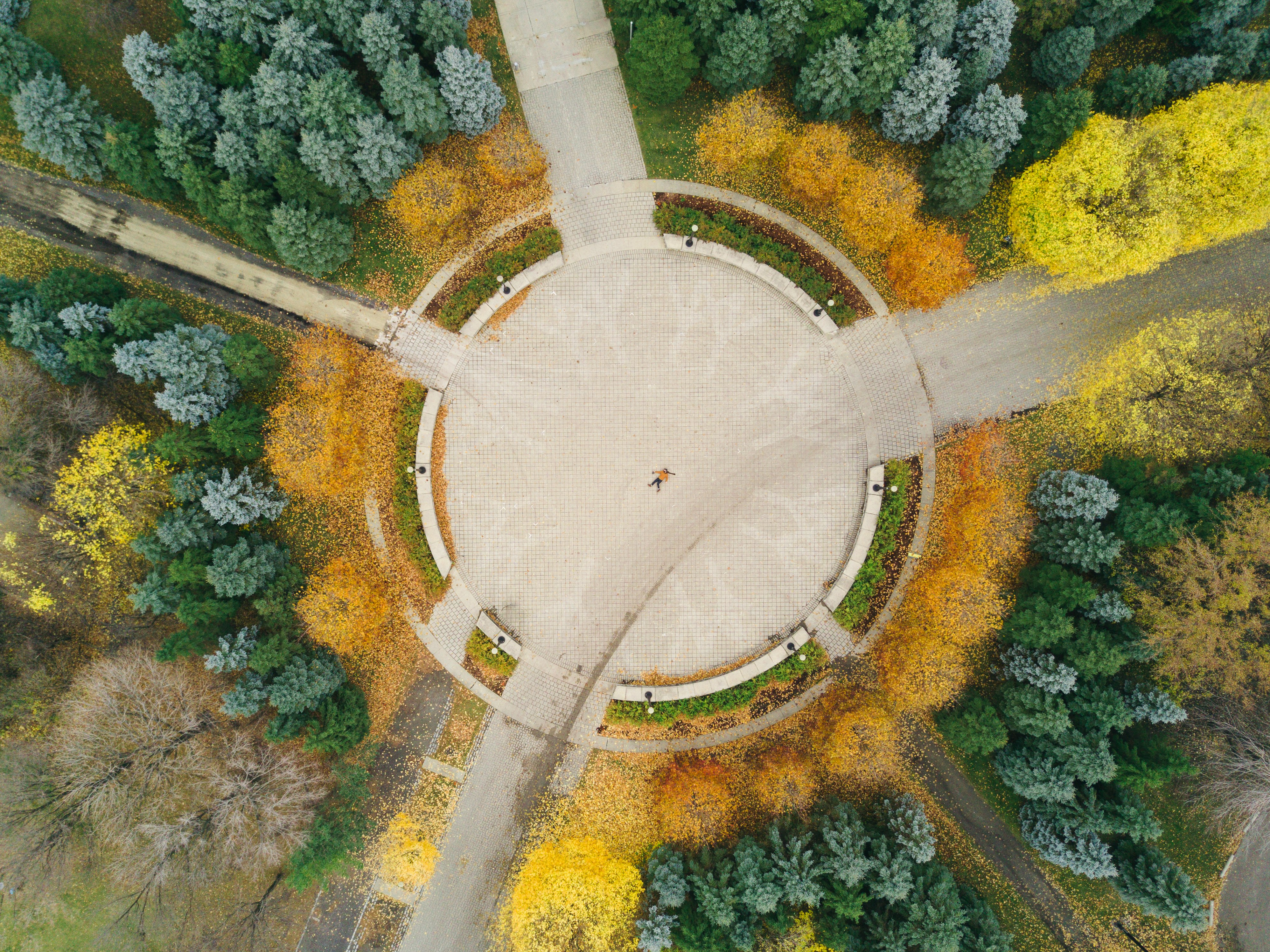 round brown field surrounded by trees painting